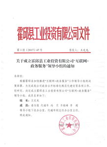 霍邱县工业投资与互联网数据服务领导小组的成立通知